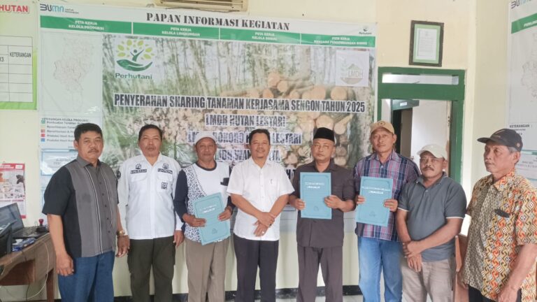 WhatsApp Image 2025-08-13 at 10.29.34