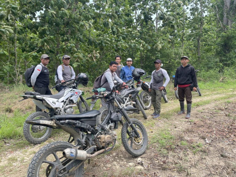 DeWatermark.ai_1761382512669