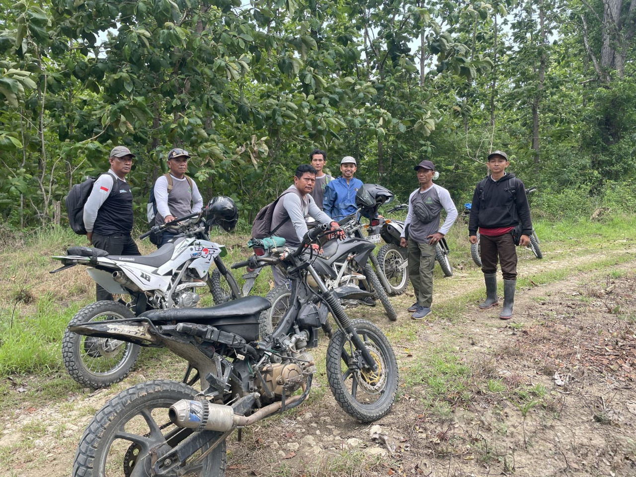 DeWatermark.ai_1761382512669