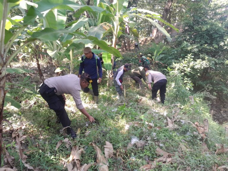 WhatsApp-Image-2025-10-11-at-09.40.03-6