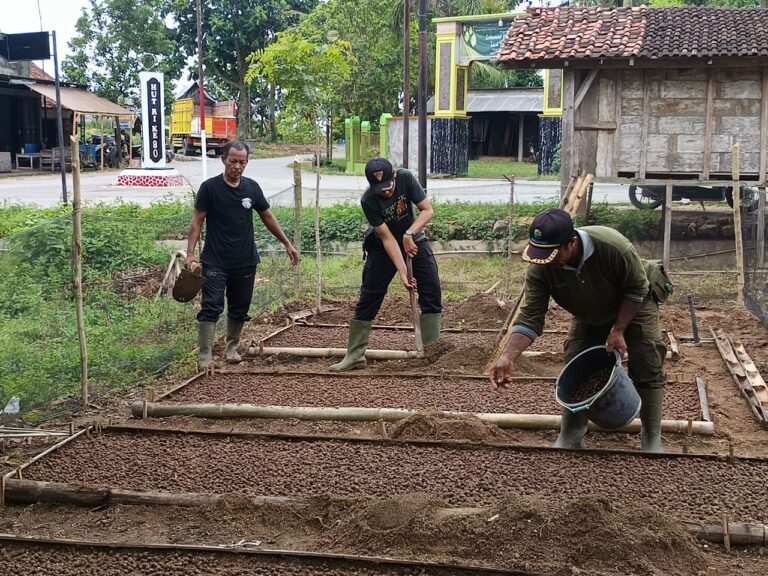 WhatsApp-Image-2025-10-23-at-12.53.27