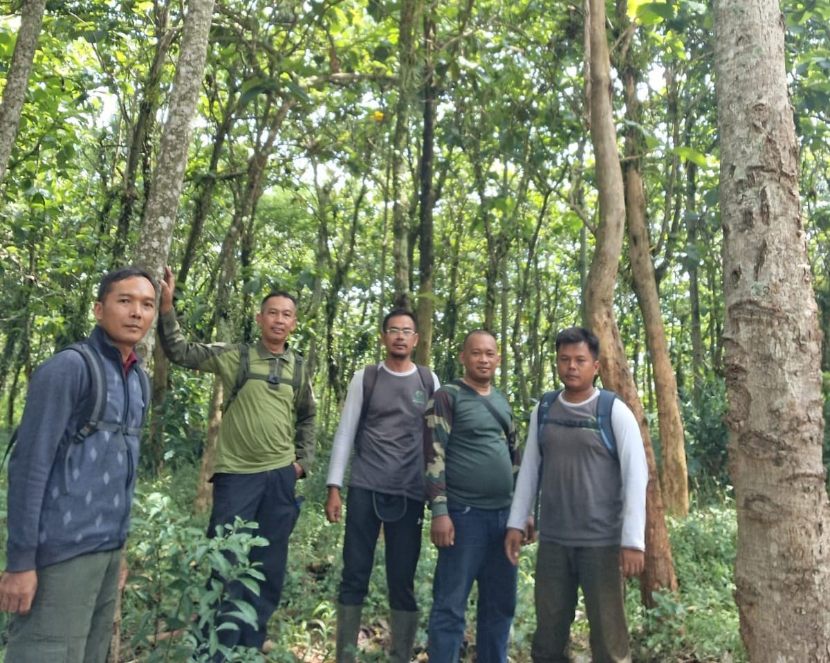 WhatsApp-Image-2025-10-25-at-07.47.09