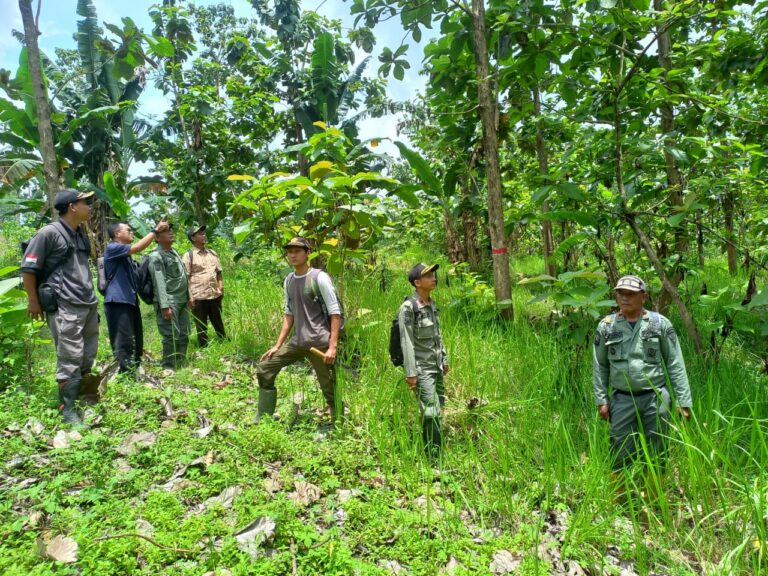 WhatsApp-Image-2025-10-30-at-12.19.39