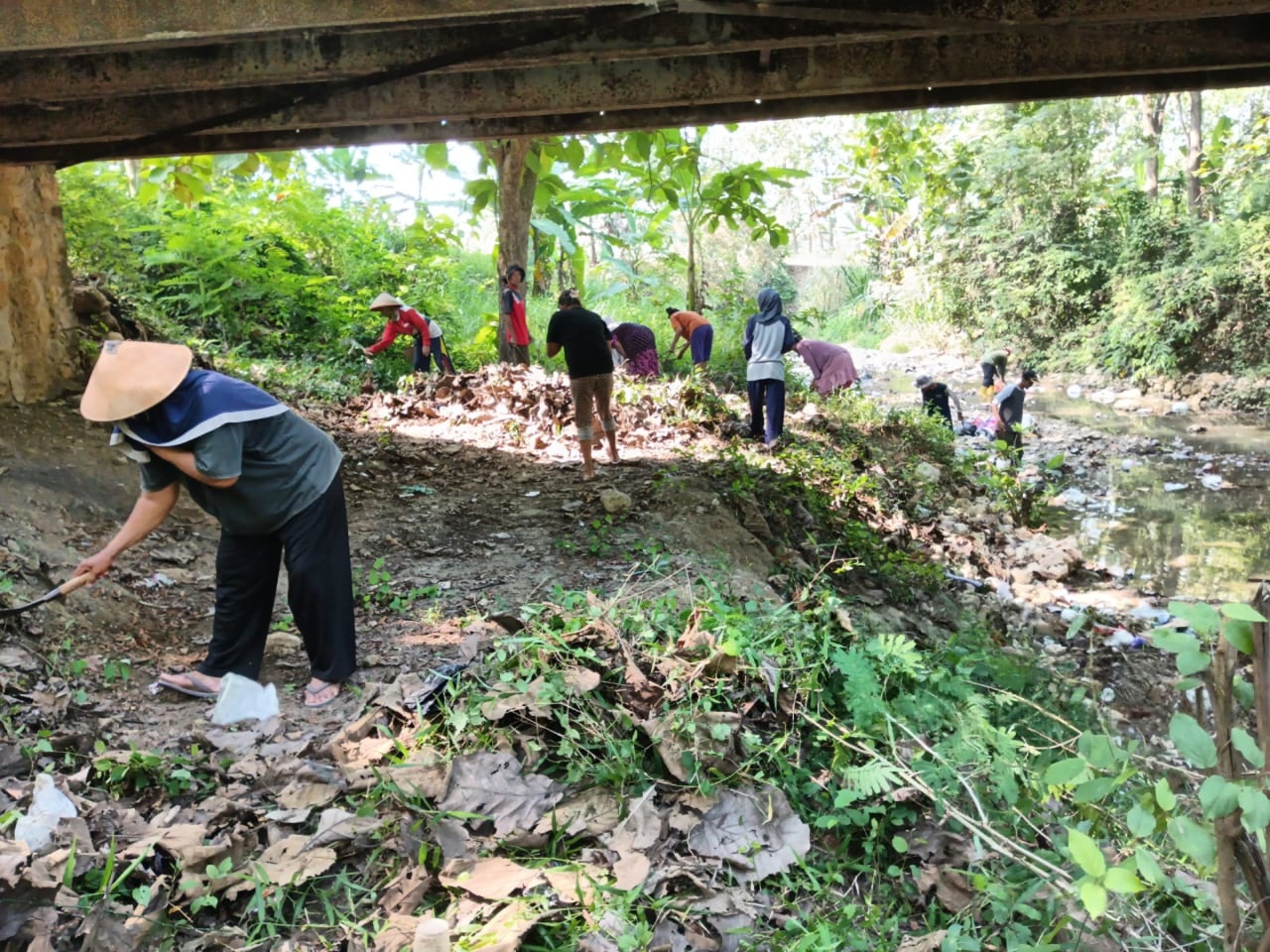 wmremove-transformed2