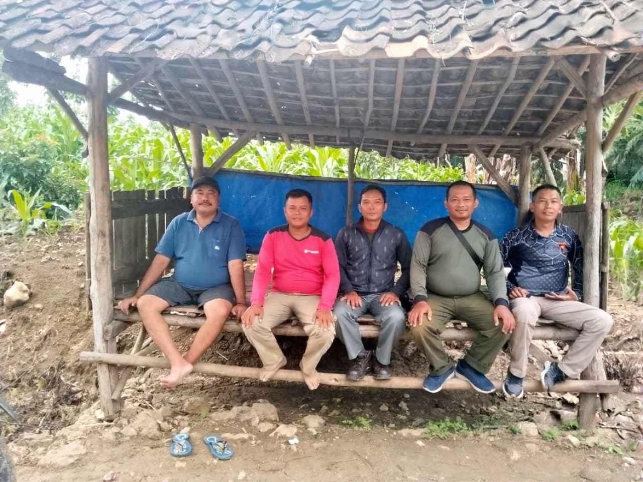 25dbf33f-1eb6-41b7-8112-dde3f6399cec