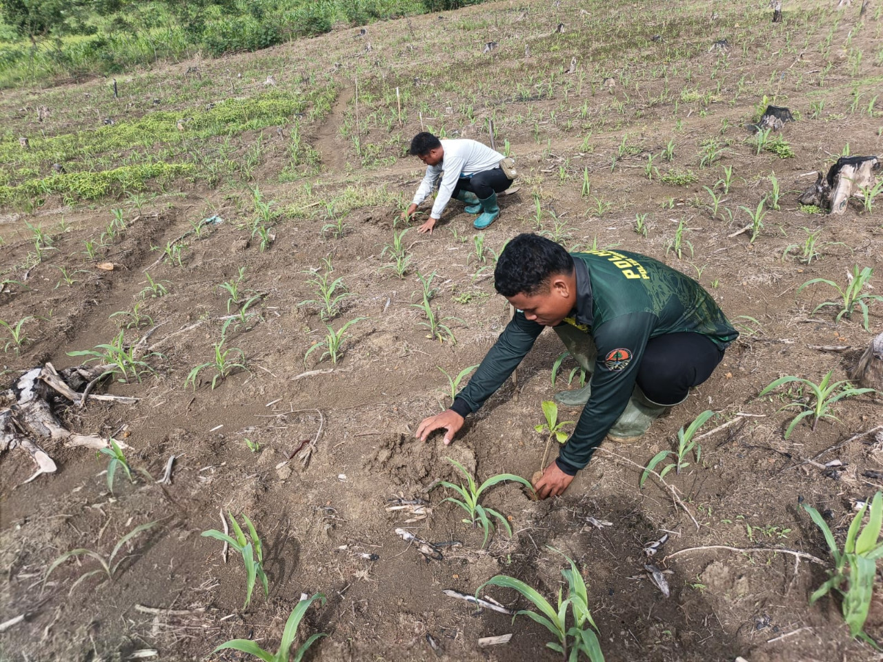 DeWatermark.ai_1762445064826