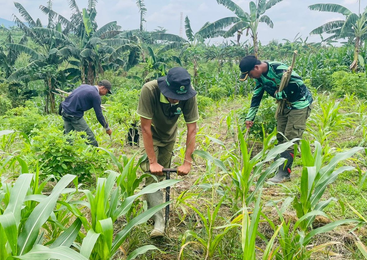 WhatsApp-Image-2025-11-04-at-11.53.52