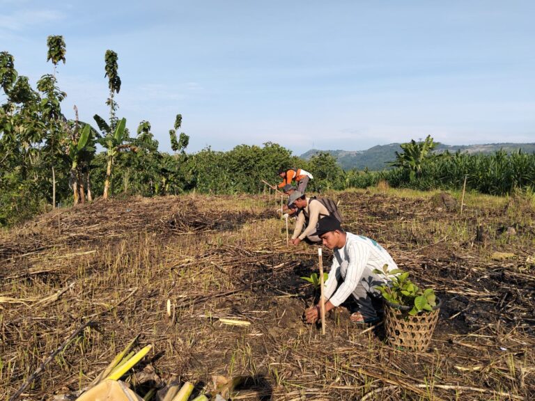 WhatsApp-Image-2025-11-05-at-10.46.27