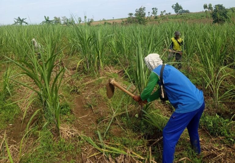 WhatsApp-Image-2025-11-06-at-08.07.17