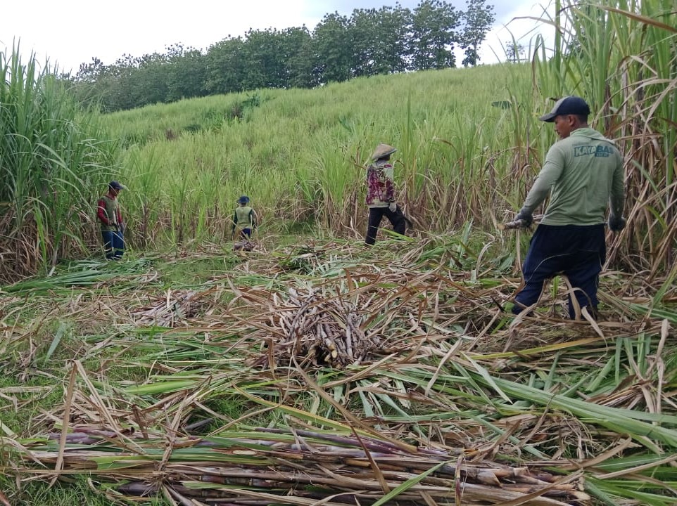 WhatsApp-Image-2025-11-10-at-20.02.43