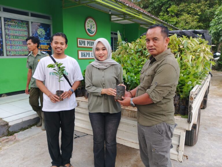 WhatsApp-Image-2025-11-11-at-16.13.22