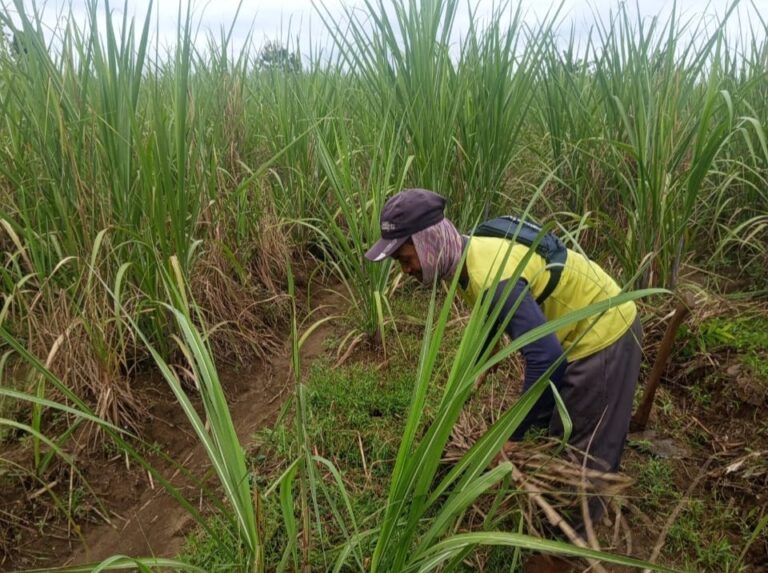 WhatsApp-Image-2025-11-11-at-19.44.21