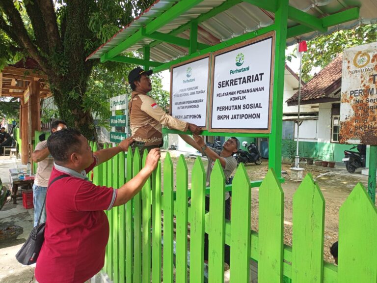 WhatsApp-Image-2025-11-12-at-21.51.31