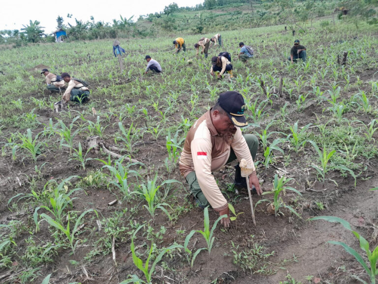 WhatsApp-Image-2025-11-13-at-09.22.42_ddf914eb