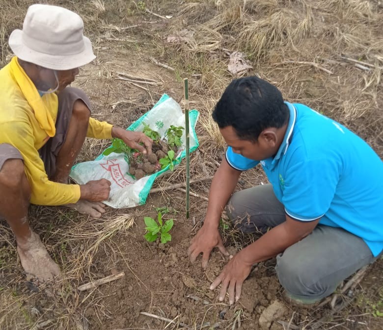 WhatsApp-Image-2025-11-15-at-09.10.41-4