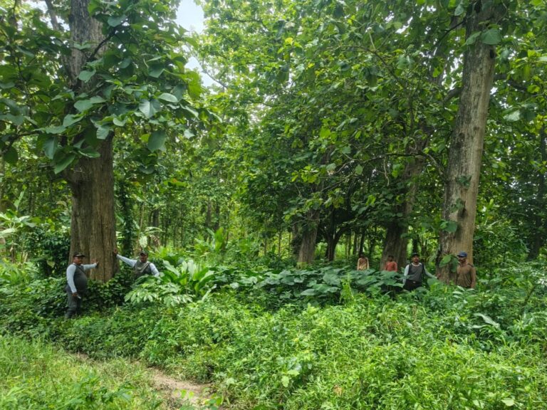 WhatsApp-Image-2025-11-17-at-11.04.05-4