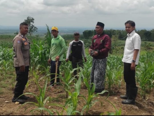 WhatsApp-Image-2025-11-17-at-13.01.54