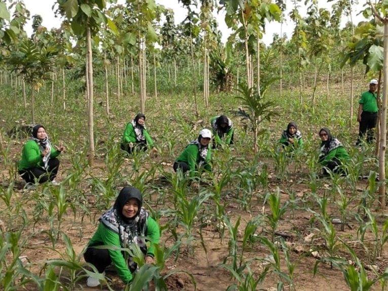 wmremove-transformed1-1