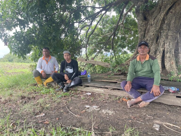 wmremove-transformed17