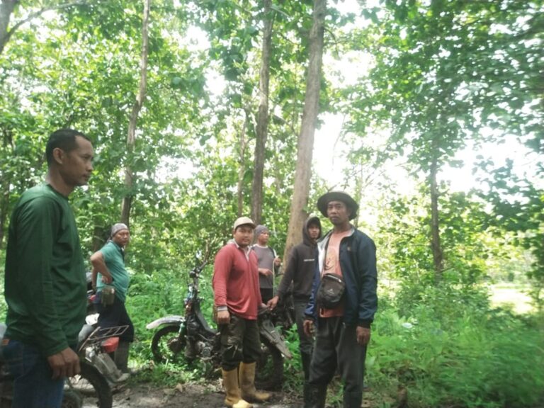 wmremove-transformed19