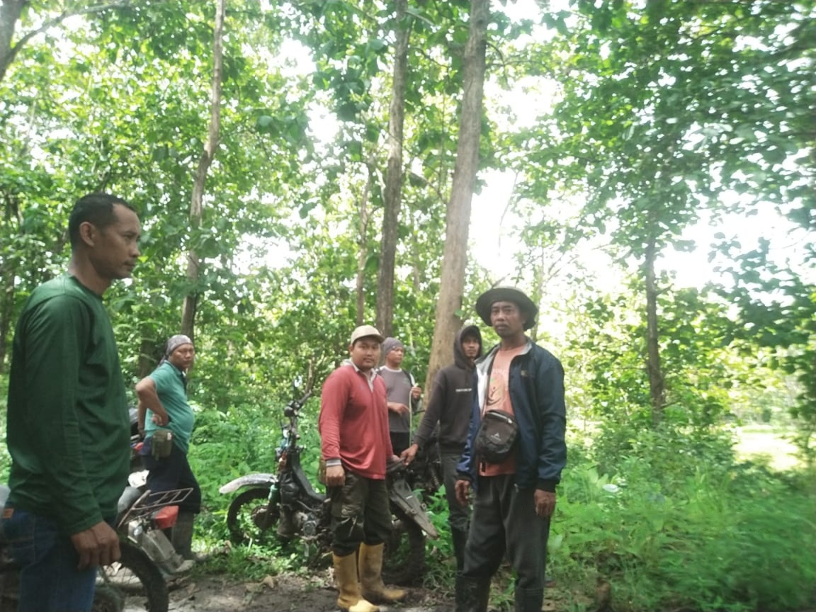 wmremove-transformed19