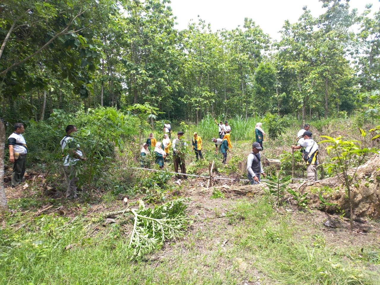 wmremove-transformed2