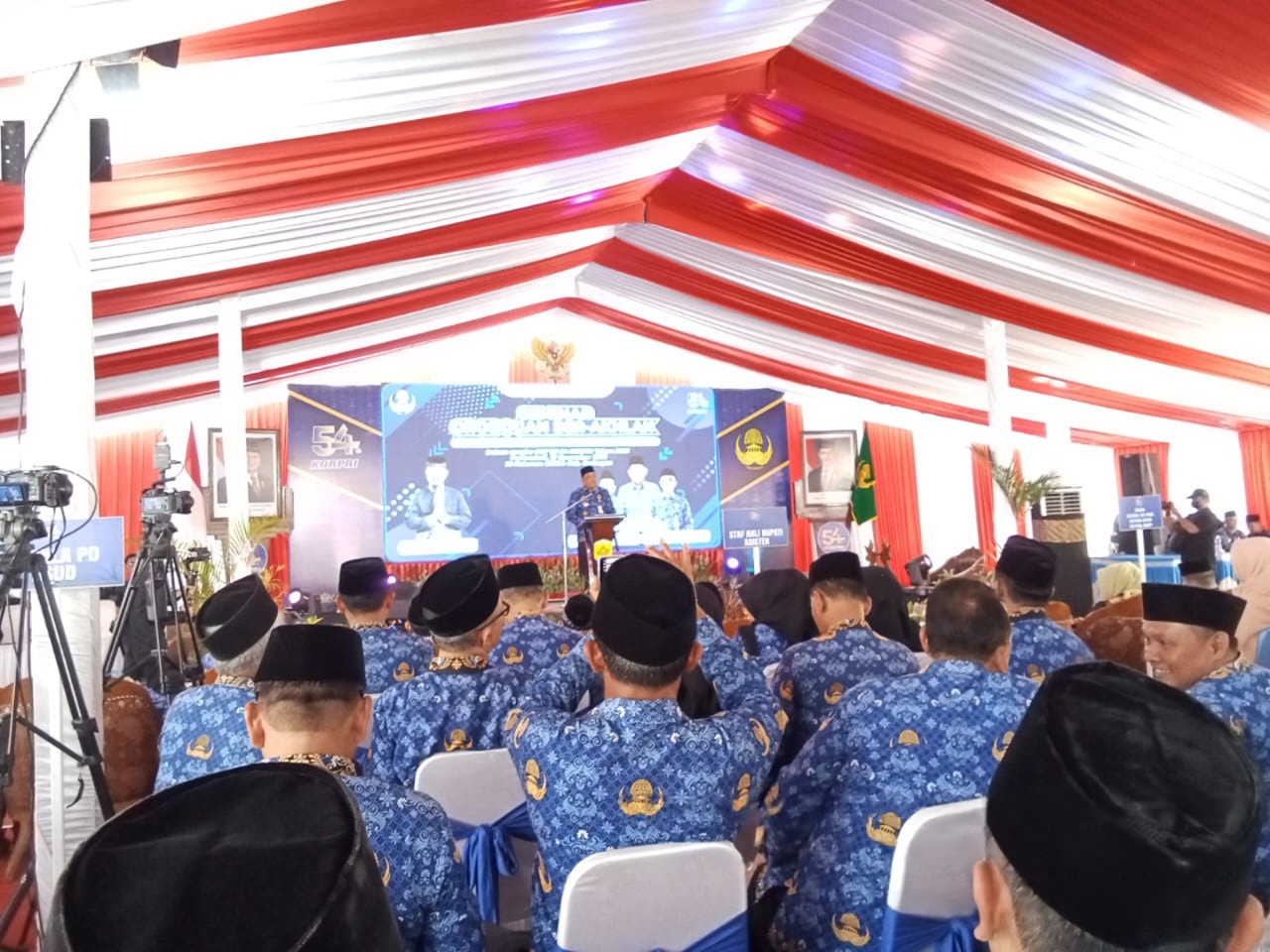 wmremove-transformed20