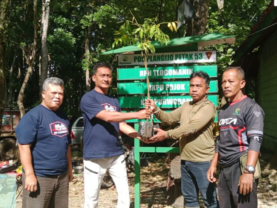 wmremove-transformed3