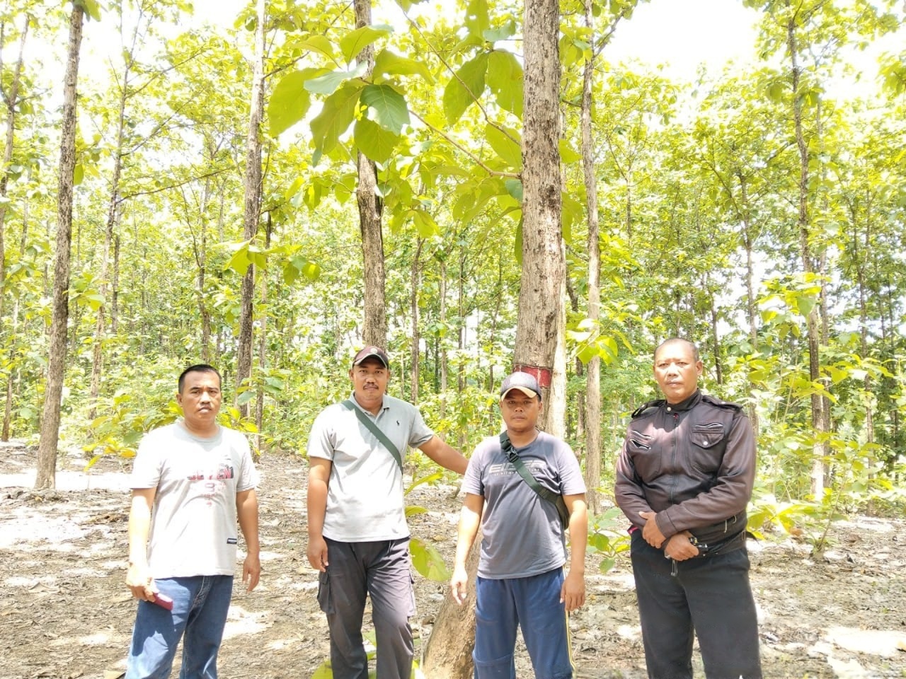 wmremove-transformed4