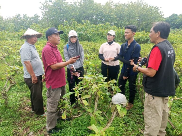 wmremove-transformed15