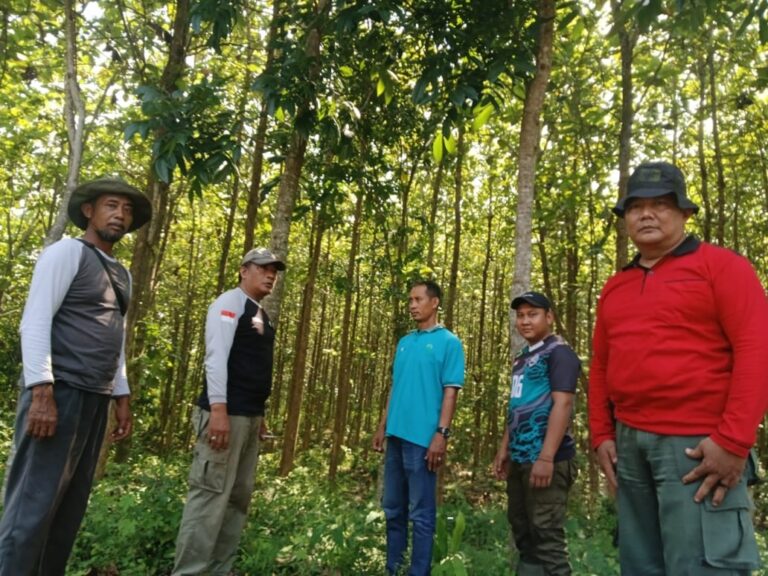 wmremove-transformed16